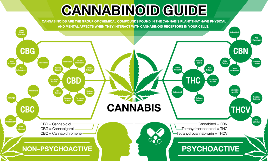 cannabinoid guide